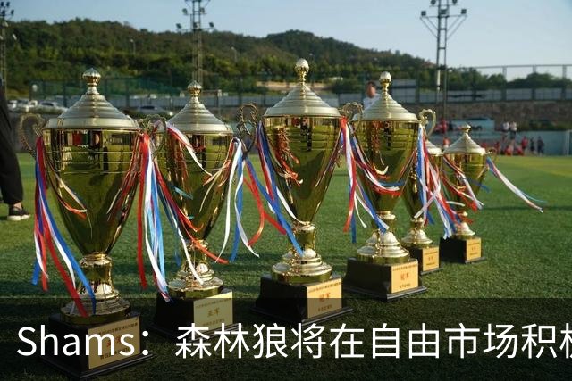 Shams：森林狼将在自由市场积极补强4号位 但他们只能提供底薪
